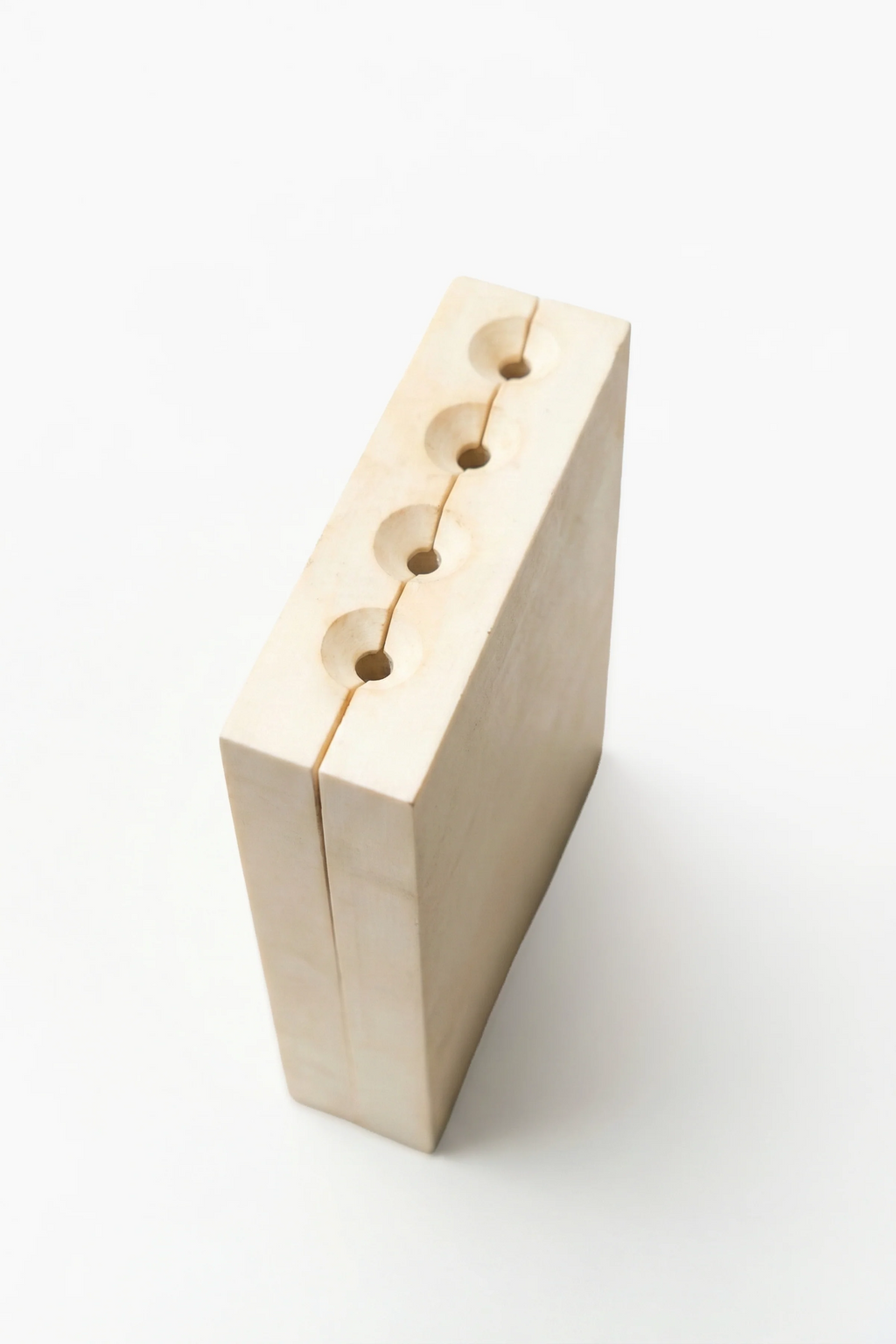 Ring Worm / Sülük Model Silikon Döküm Kalıbı
