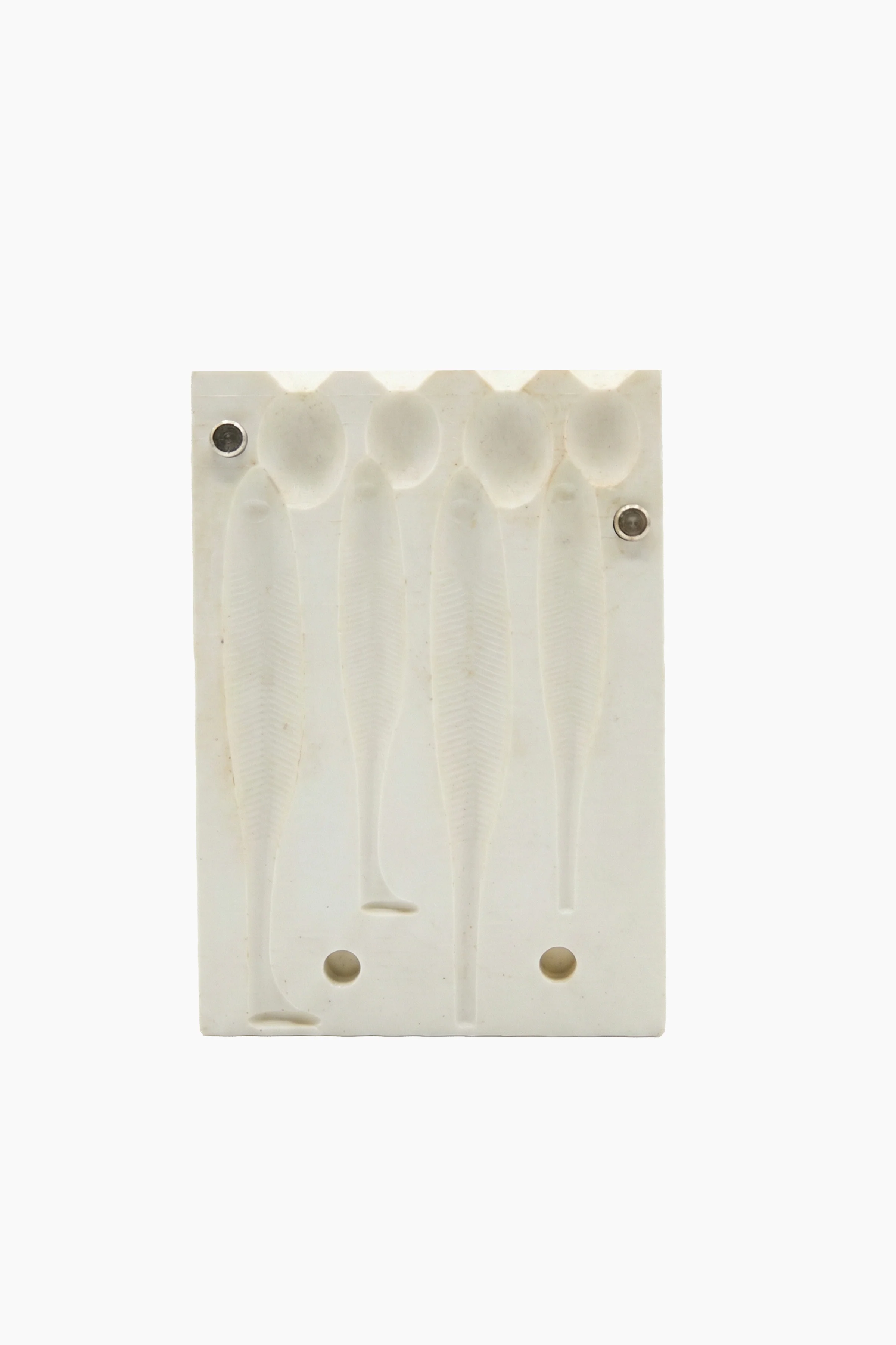 Ring Worm / Sülük Model Silikon Döküm Kalıbı